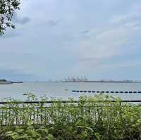 Punggol’s Coastal Charm: A Perfect Day Walk Along the Seaside and Promenade