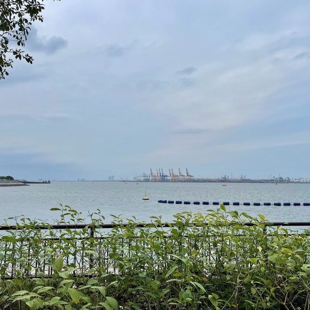 Punggol’s Coastal Charm: A Perfect Day Walk Along the Seaside and Promenade