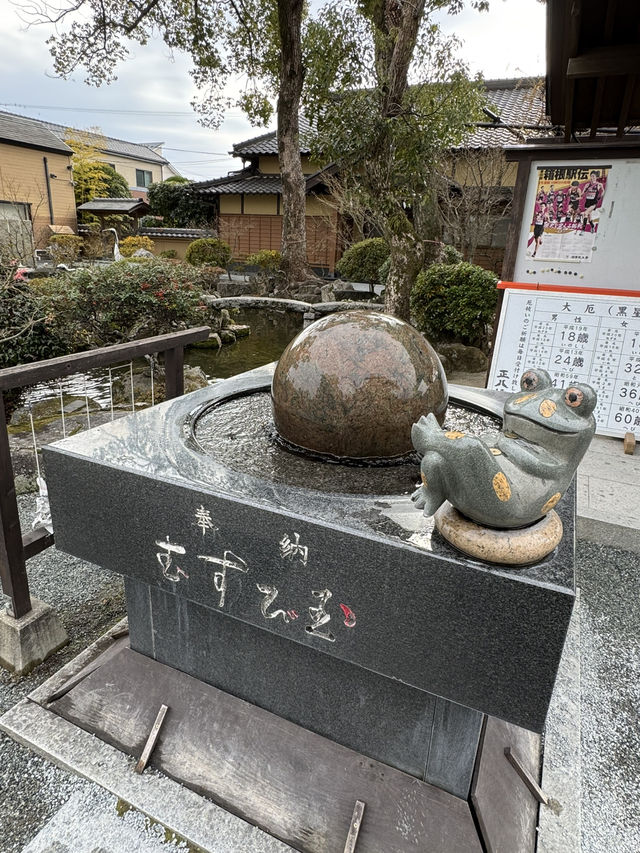 【福岡観光】御神木の大きさに驚き🌳地元で愛される神社⛩