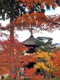 The Everlasting Light of Wisdom in Nirvana — The Jojakko-ji Temple in Arashiyama 