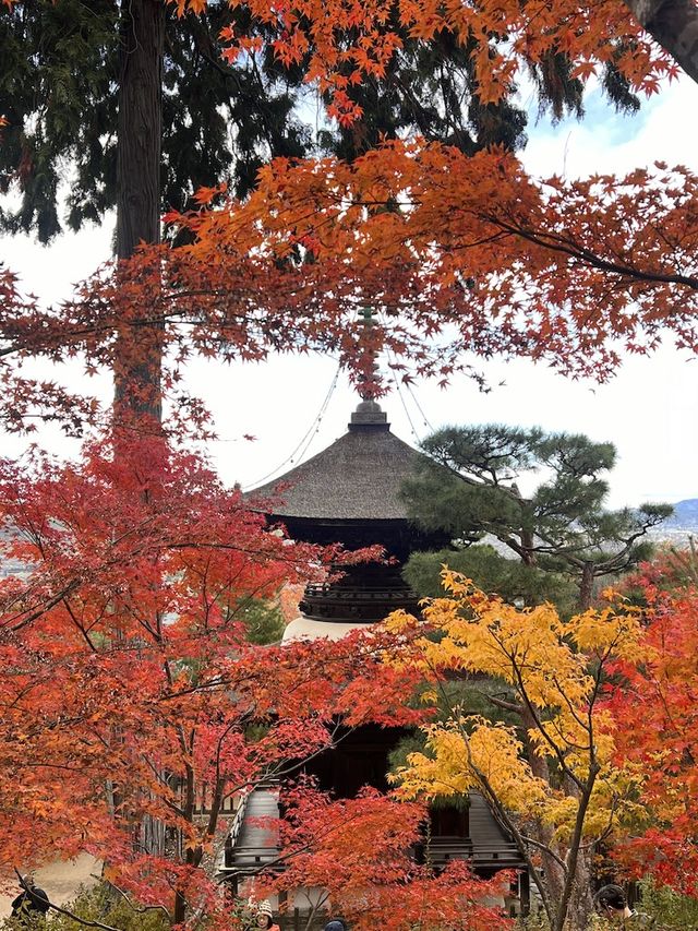 The Everlasting Light of Wisdom in Nirvana — The Jojakko-ji Temple in Arashiyama 