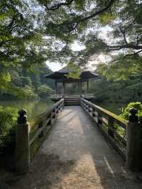 Naritasan Day Trip: Unveiling a Hidden Gem Near Tokyo
