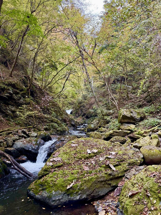 【山梨県】浄化のパワースポット！板敷渓谷