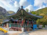 釜山長安寺，山林溪谷中的千年古剎