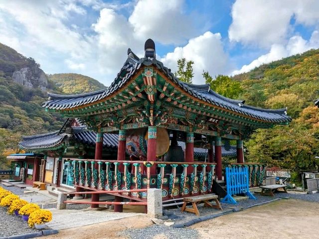 釜山長安寺，山林溪谷中的千年古剎