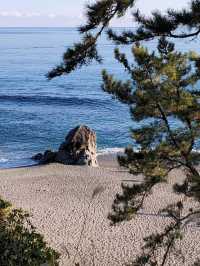 松の緑と紺碧の海が調和する見事な景勝地