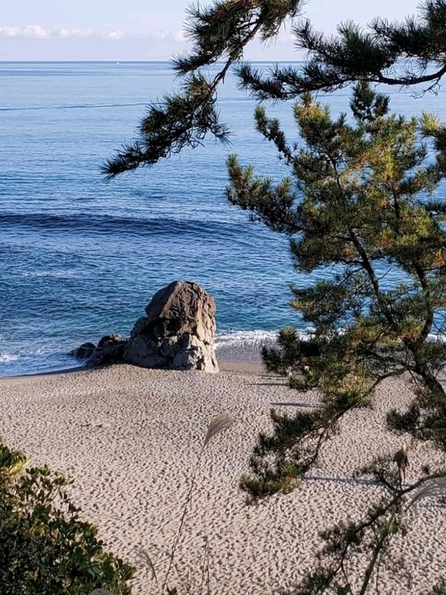 松の緑と紺碧の海が調和する見事な景勝地