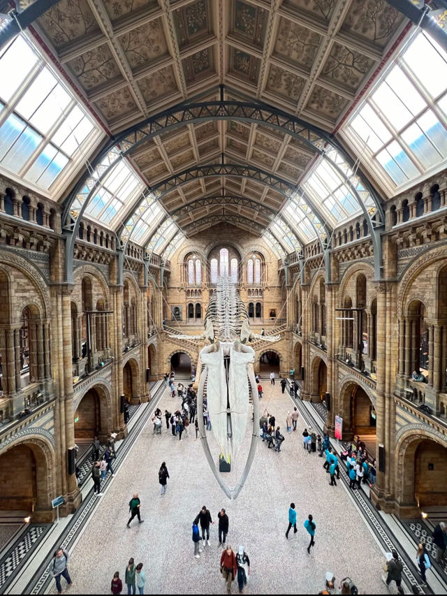 Natural history museum London 