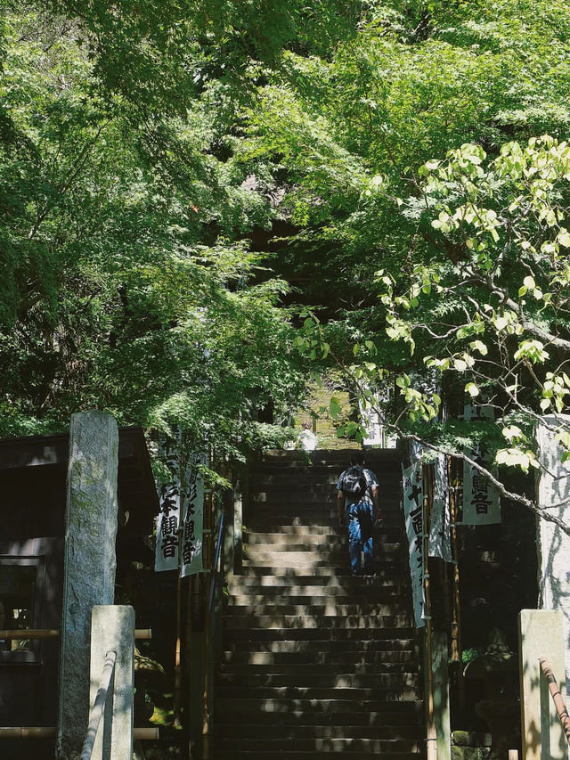 景點推薦：東京近郊・鎌倉報國寺——靜謐竹林中的禪意世界