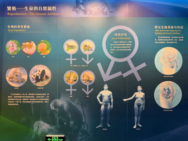 중국 베이징 자연사 박물관 입니다. 