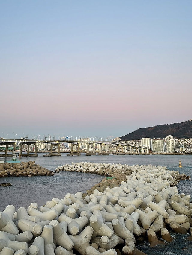🌊부산 가면 꼭 가보세요!! 푸른 바다와 하늘, 높은 빌딩의 콜라보