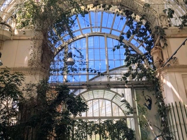 在美麗的城堡花園溫室用餐：Brasserie Palmenhaus Wien