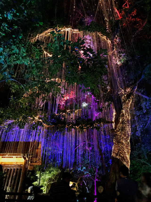 Magical Nights at Penang Avatar Secret Garden! ✨
