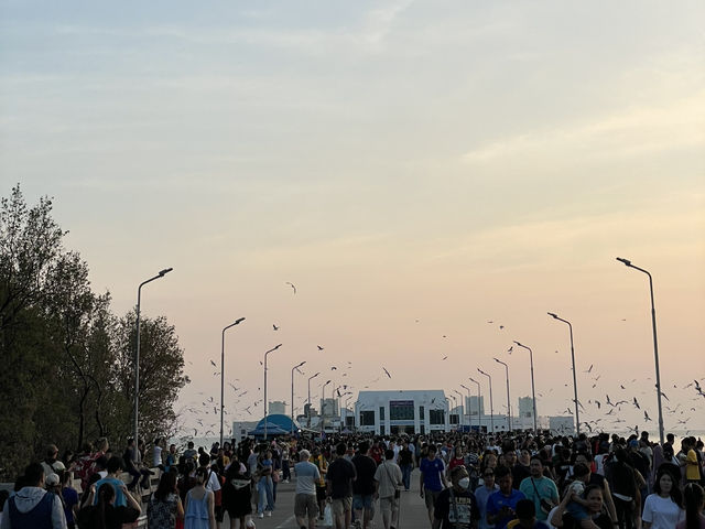 สถานตากอากาศบางปู ที่เที่ยวที่ไม่ควรพลาด