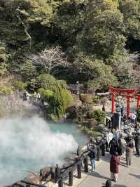 Explore Kyushu!