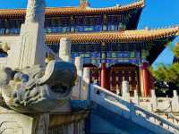 Jingshan Park: A Haven of Peace in Beijing