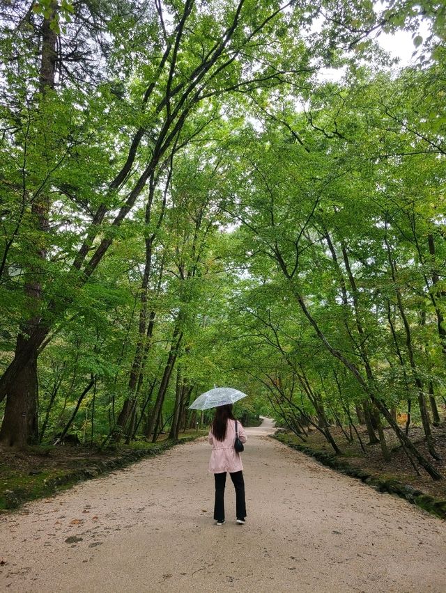 남양주 광릉
