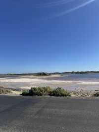 Rottnest Island Cycling Guide