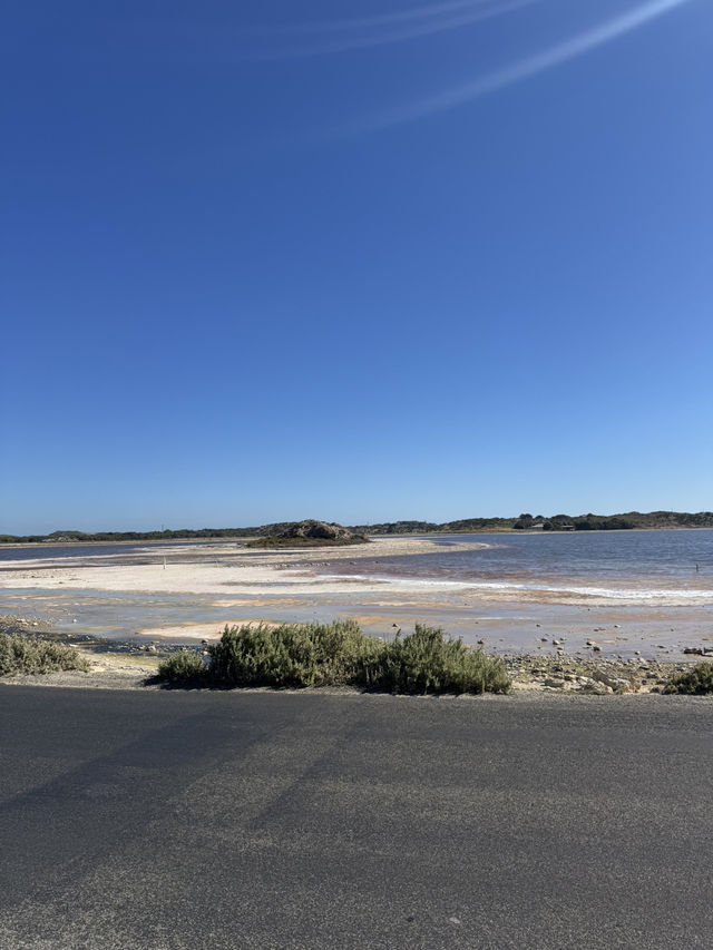 Rottnest Island Cycling Guide
