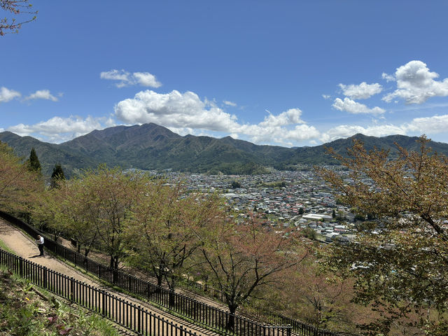 A Picture-Perfect View: Arakurayama Sengen Park