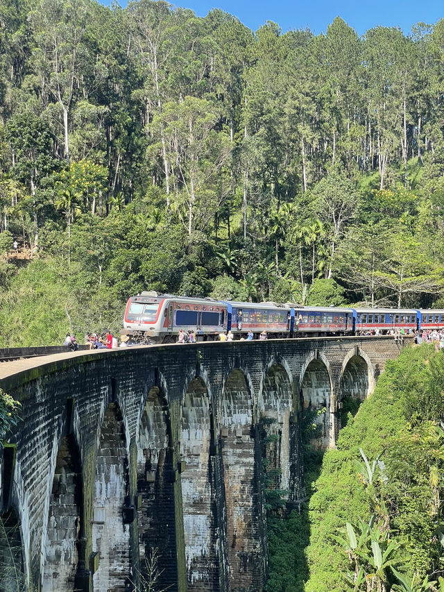 【スリランカ】スタンドバイミーの世界🇱🇰