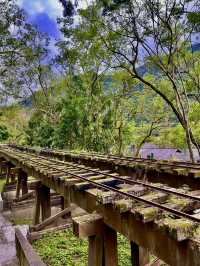 暢遊森林鐵道～林田山林業文化園區
