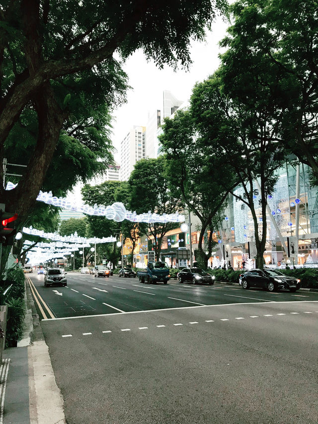 Orchard Road: A Walk Through Singapore’s Vibrant Heart