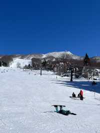 瘋滑雪🏂日本藏王滑雪趣