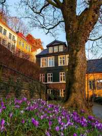 Bergen Norway 🇳🇴  