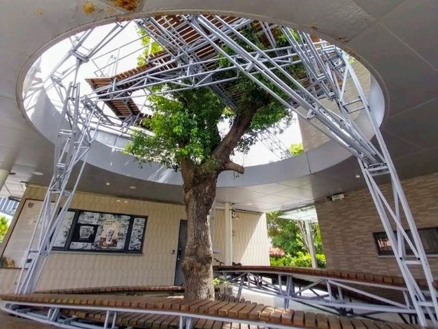 台東美術館，融合大自然與原民文化的藝文空間
