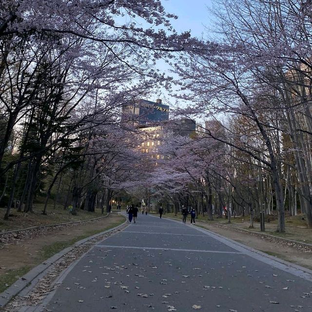 Nakajima Park