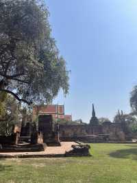 🇹🇭✅ワット・プラ・シー・サンペット（Wat Phra Si Sanphet）攻略ガイド
