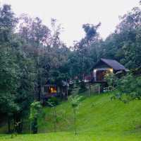 Spring Escape at The Cliff & River Jungle Resort