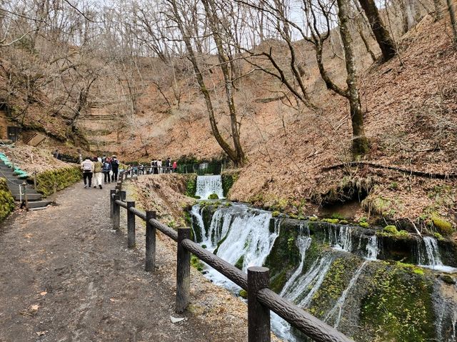 [🇯🇵軽井沢] 白糸の滝 — 自然の美を感じる静寂の空間