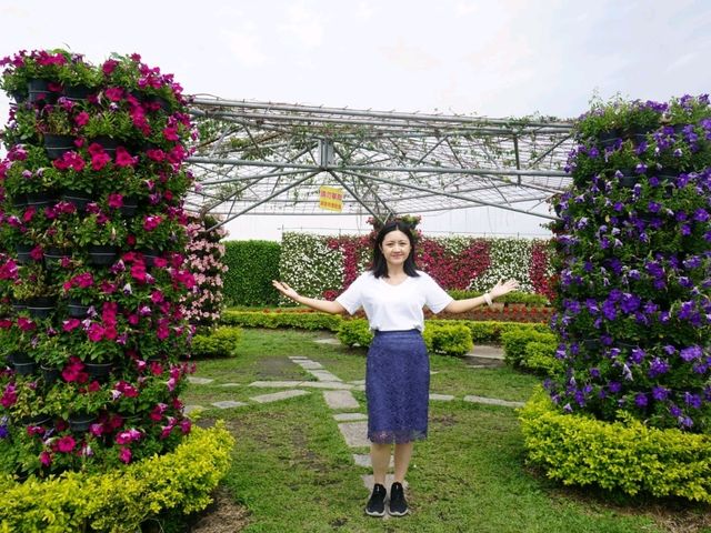 台中中社花海