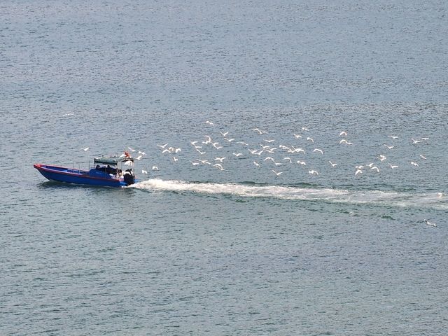 享受自然 . 大埔海濱公園
