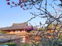 10 yen eternal splendor: Unveiling the Byodo In temple in plain sight