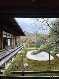 【京都×春旅】  風情ある景色、庭園、建築技術は素晴らしい