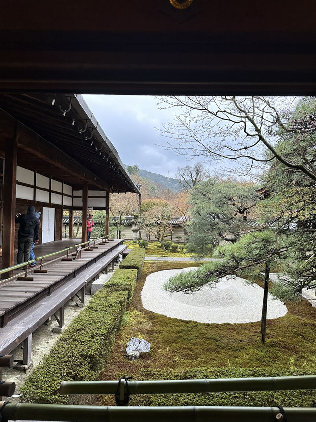 【京都×春旅】  風情ある景色、庭園、建築技術は素晴らしい