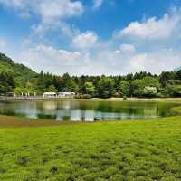 Shibazakura Garden, Japan: A Springtime Wonderland