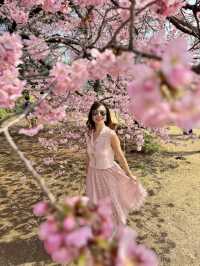 Tokyo Spring vibes unlocked 🌸