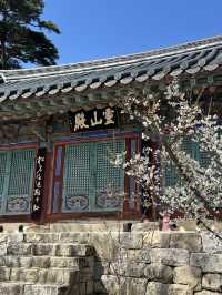 【韓国/大邱】日本人のプロが選んだ絶景30選のうちの一つ！