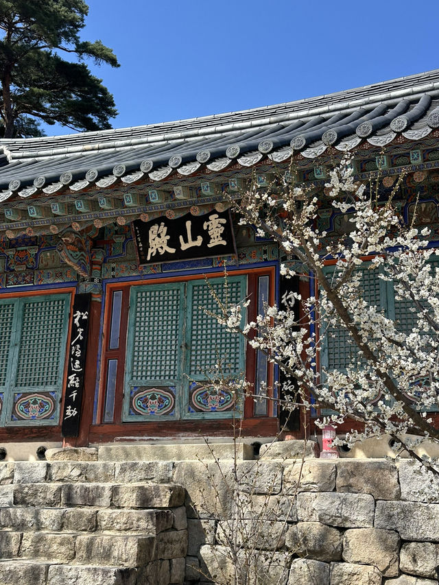 【韓国/大邱】日本人のプロが選んだ絶景30選のうちの一つ！