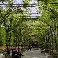 復興公園