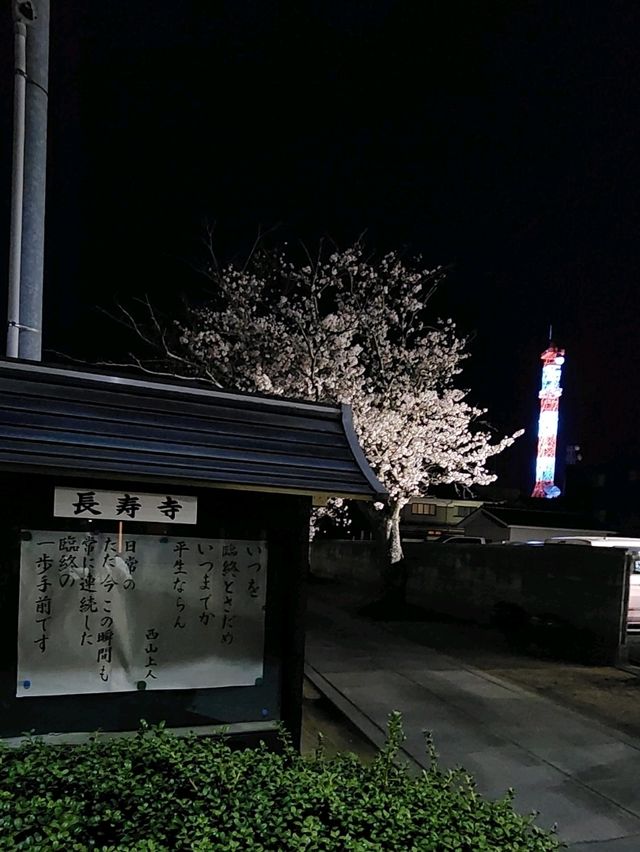 【山口グルメ】春来軒・やきそば・ばりそば