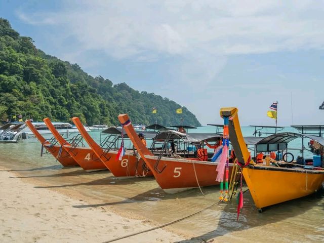 เกาะสุรินทร์สวรรค์ของคนชอบ ดำน้ำ🤿
