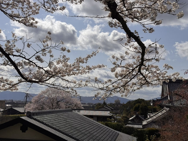 哲學之道