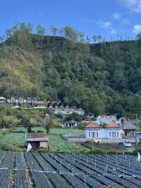 Batur Cottage  ที่พักวิวสวยของ Mt.Batur, บาหลี