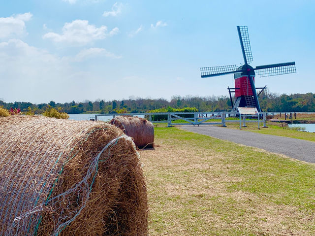 德元埤荷蘭村   💘偽荷蘭🇳🇱行