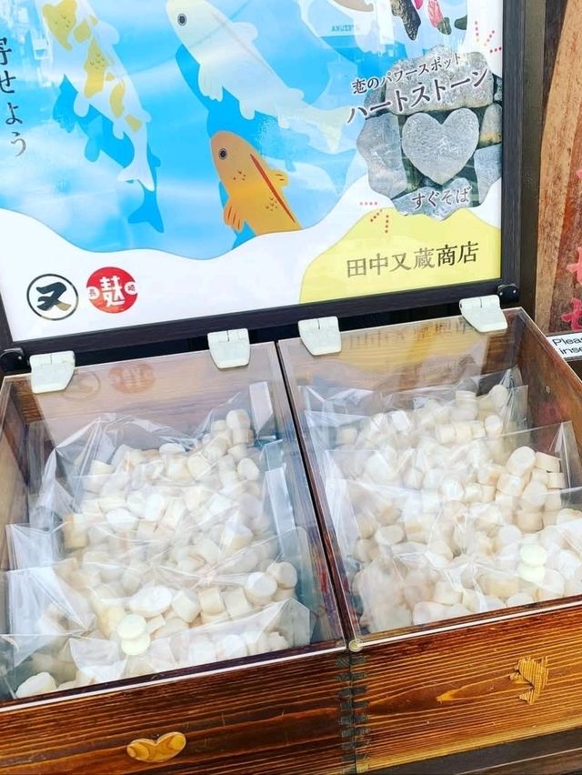 長崎眼鏡橋找愛心石❤️捲尾貓神社找貓神